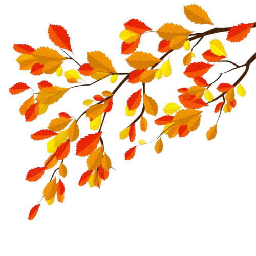 Autumn Seasons